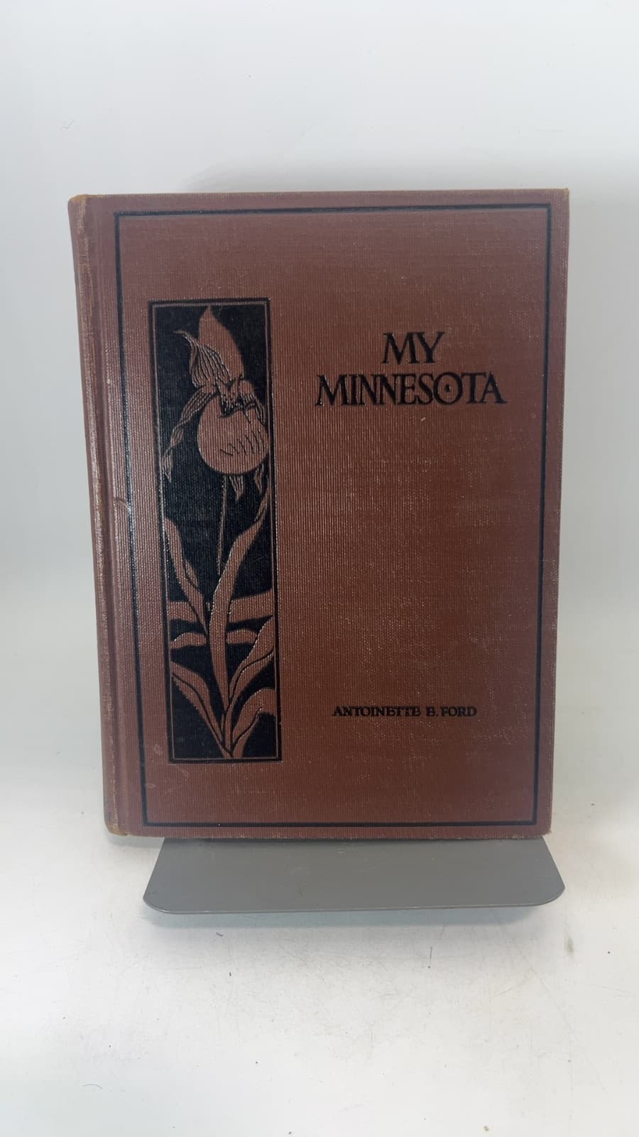 My Minnesota by Antoinette E. Ford - front cover