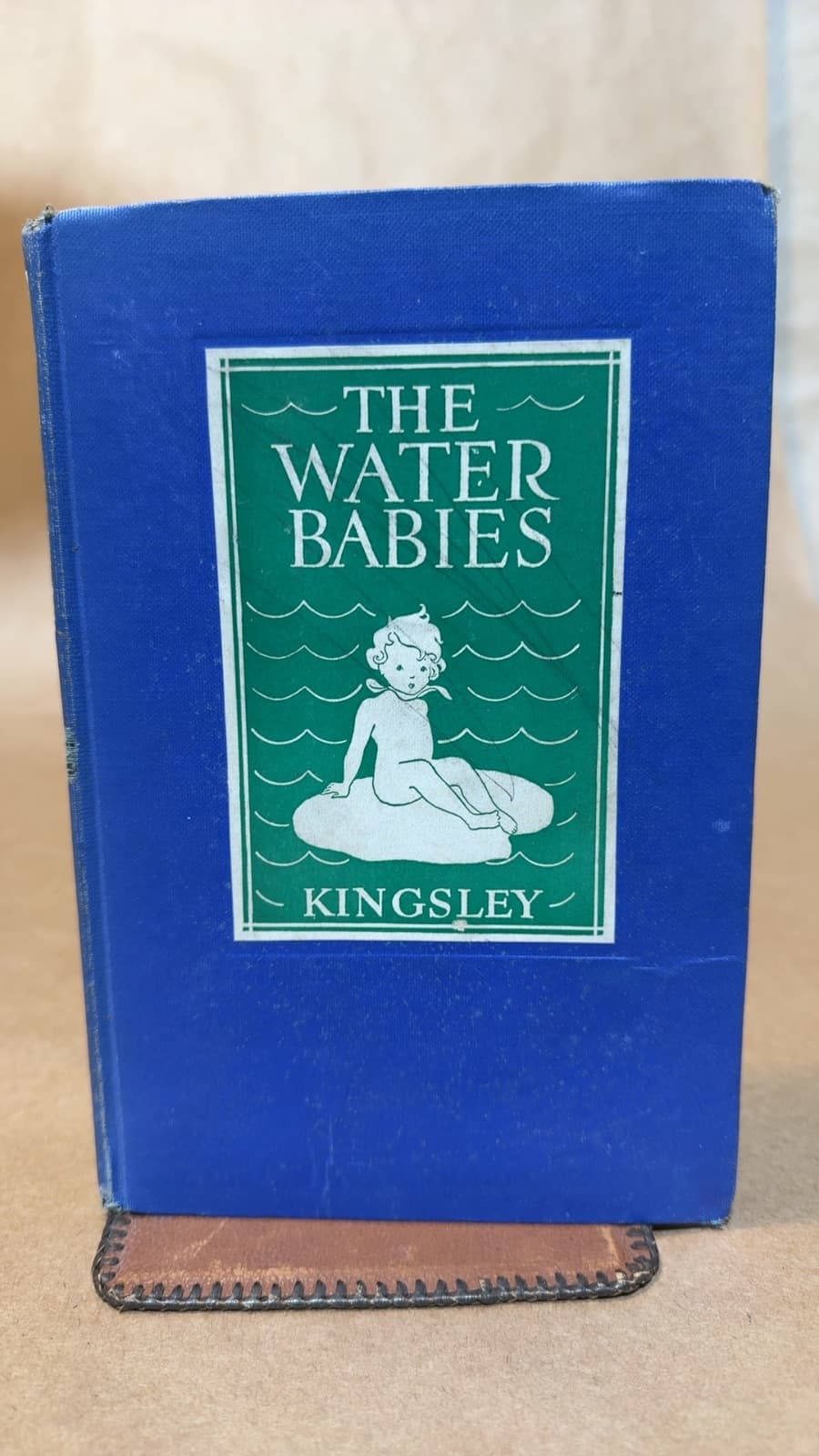 The Water-Babies by Charles Kingsley - front cover