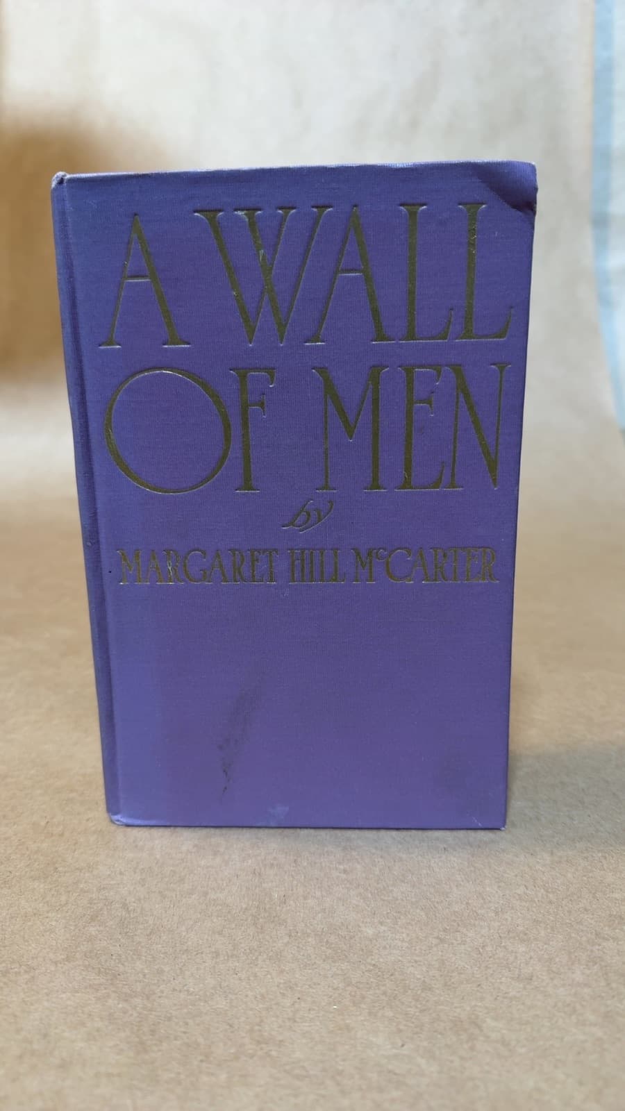 A Wall of Men by Margaret Hill McCarter - front cover