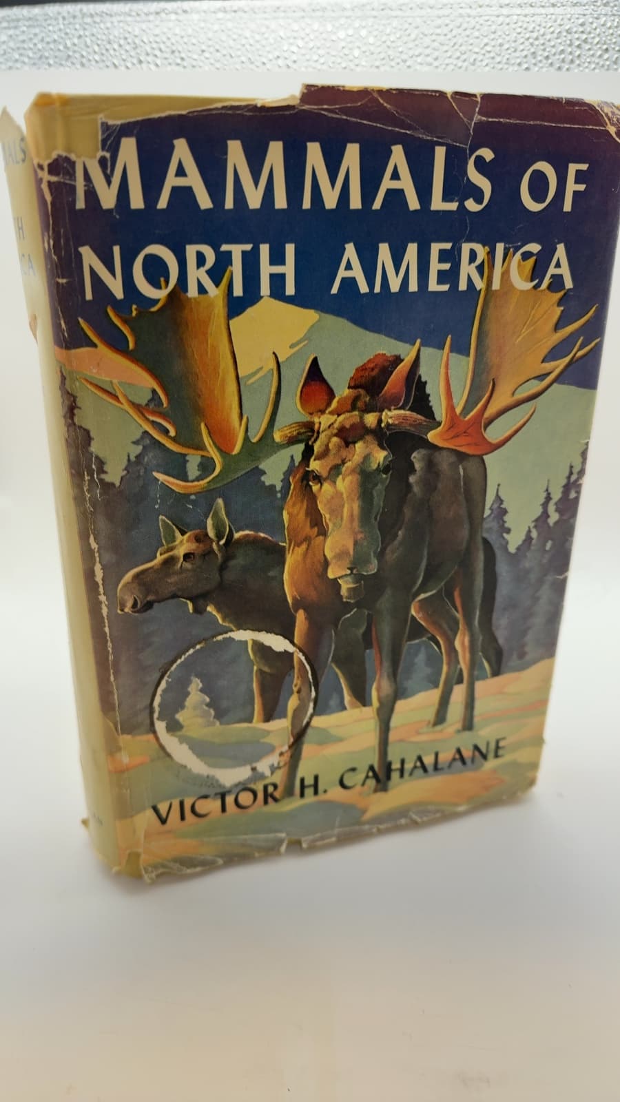 Mammals of North America by Victor H. Cahalane - front cover
