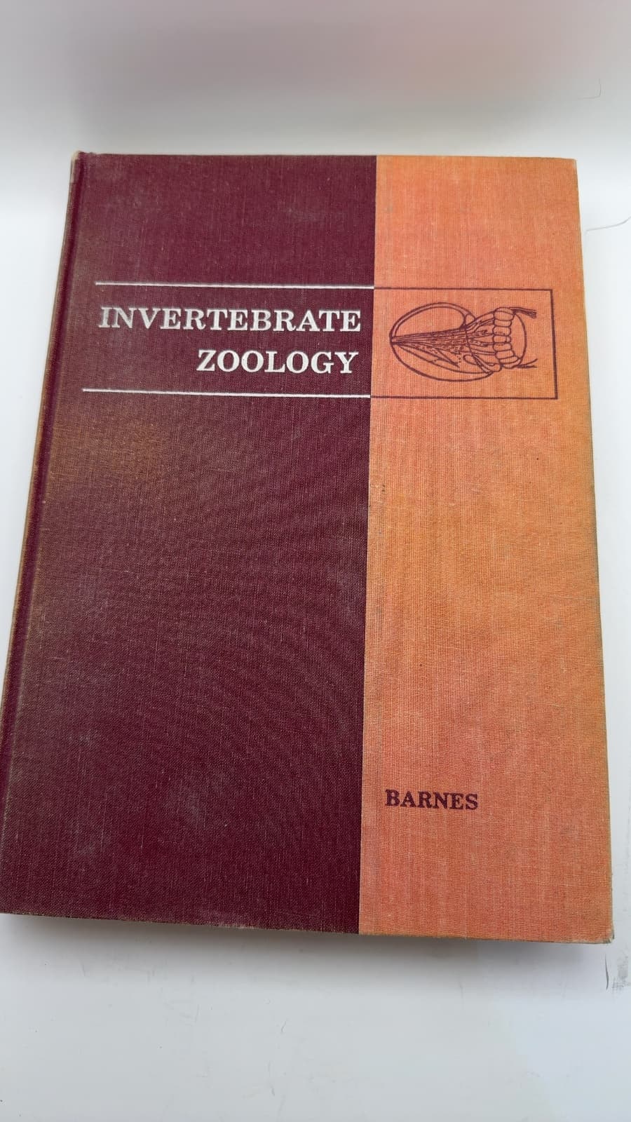 Invertebrate Zoology by Robert D. Barnes, Ph.d. - front cover