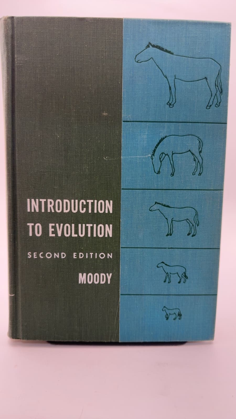 Introduction to Evolution by Paul Amos Moody - front cover
