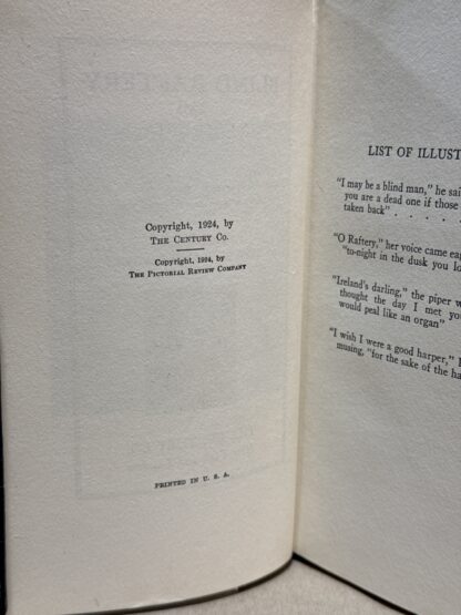 Donn Byrne BLIND RAFTERY AND HIS WIFE, HILARIA Century 1924 (John R. Flannagan) [Hardcover] unknown [Hardcover] John R. Flannagan - Image 4