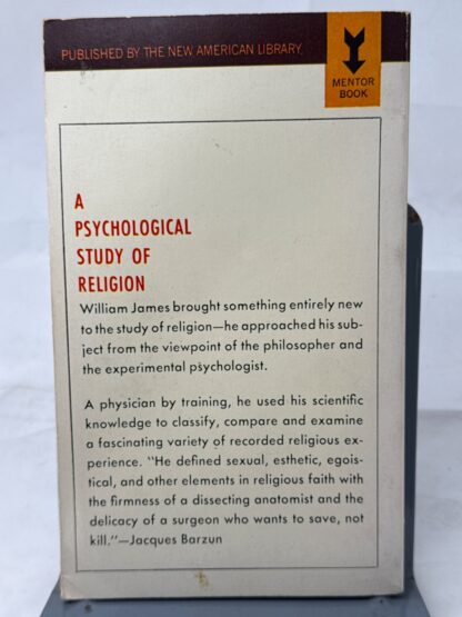 The Varieties of Religious Experience - Image 2