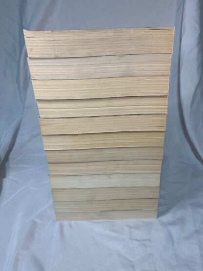 Left Behind Series 1-12 - Tim LaHaye, Jerry B Jenkins - Paperback Lot - Image 3
