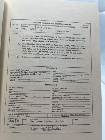 Report to the Commissioner - Image 8