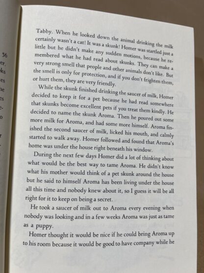 The Complete Adventures of Homer Price - Image 12