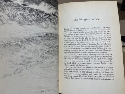 The Edge of the Sea - Image 7