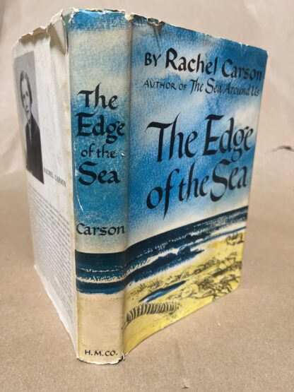 The Edge of the Sea - Image 5