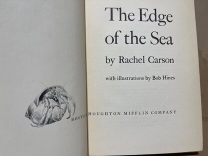 The Edge of the Sea - Image 3