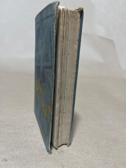 Wise and Otherwise - Image 6