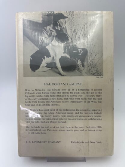 The Dog Who Came to Stay - Image 2
