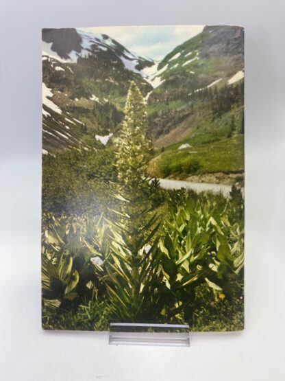 Mountain Wild Flowers of Colorado and Adjacent Areas - Image 2