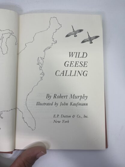 Wild Geese Calling - Image 5