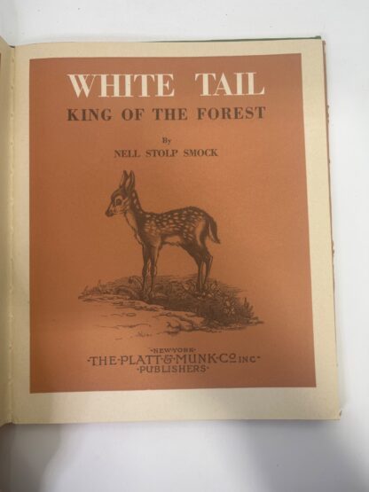 White Tail: King of the Forest - Image 6