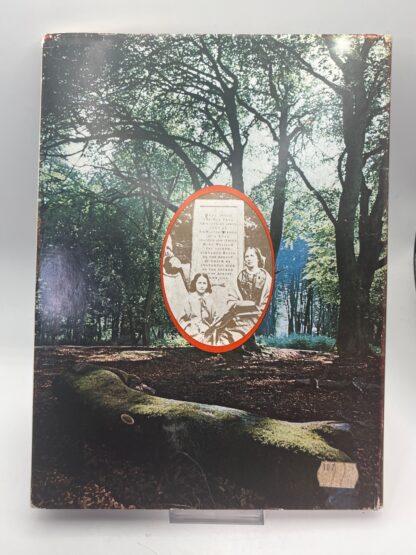 The New Forest - Image 2
