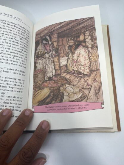 The Wind in the Willows - Image 5