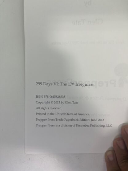 299 Days VI: The 17th Irregulars - Image 4