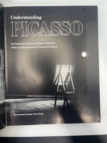 Understanding Picasso - Image 3