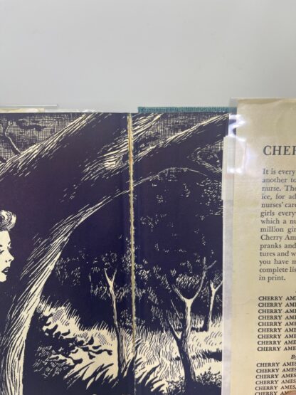 The Secret at Shadow Ranch - Image 7