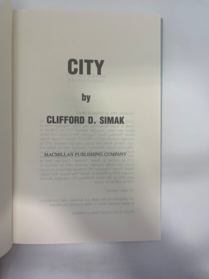 City - Image 4