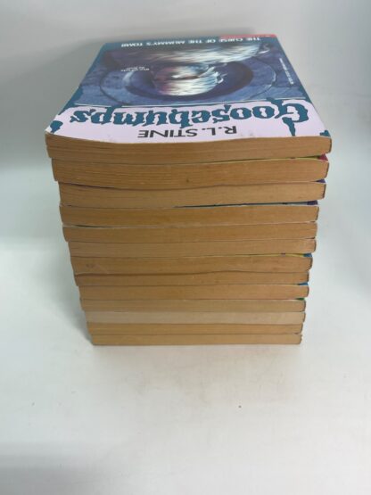 Goosebumps - Mixed Lot of 13 Books (1990's) - Image 6