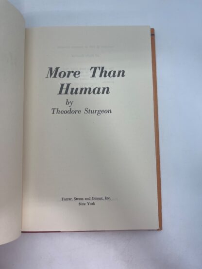 More Than Human - Image 6