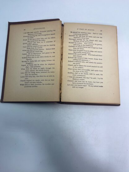 Evangeline and Other Poems - ANTIQUE - PAGES MISSING - Image 7