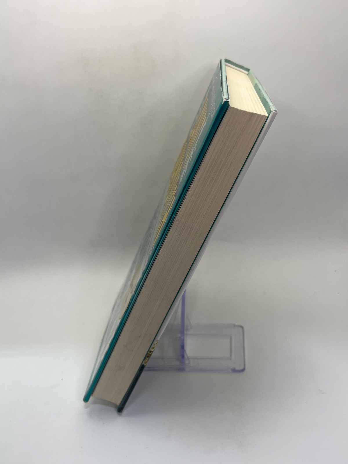 Plum Spooky - First Edition - First Printing - SIGNED - Image 2