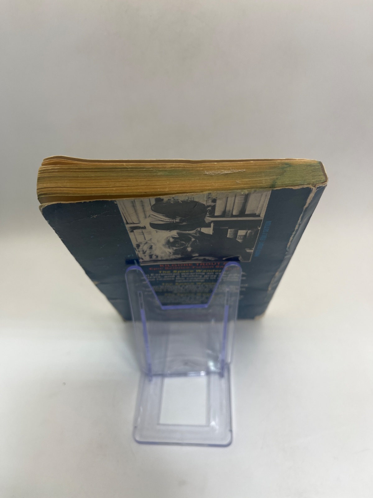 Venus on the Half-Shell - 1975 - WATER DAMAGE - Image 4