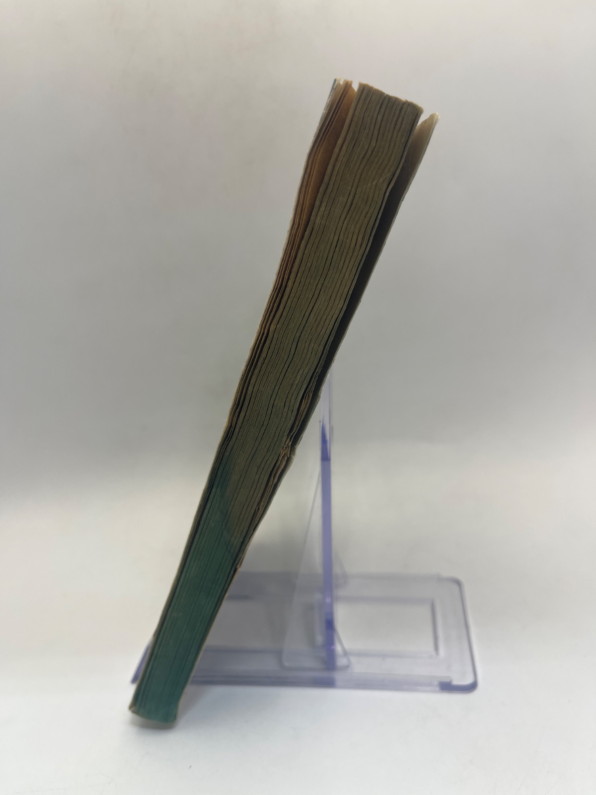 Venus on the Half-Shell - 1975 - WATER DAMAGE - Image 5