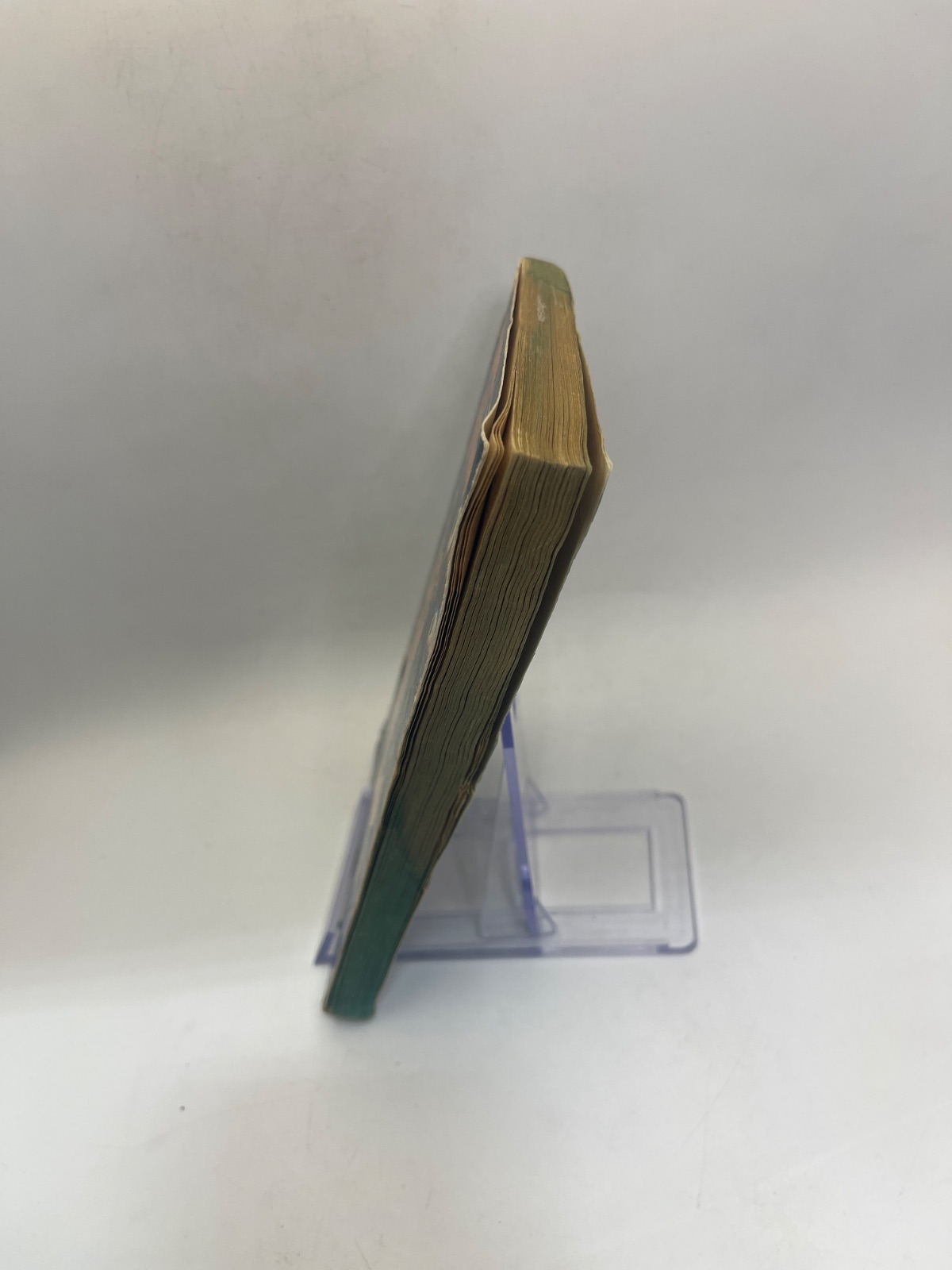 Venus on the Half-Shell - 1975 - WATER DAMAGE - Image 6