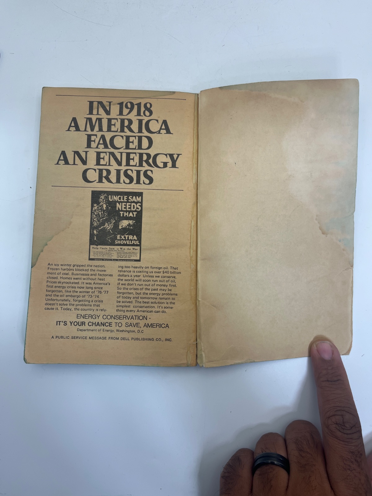 Venus on the Half-Shell - 1975 - WATER DAMAGE - Image 8