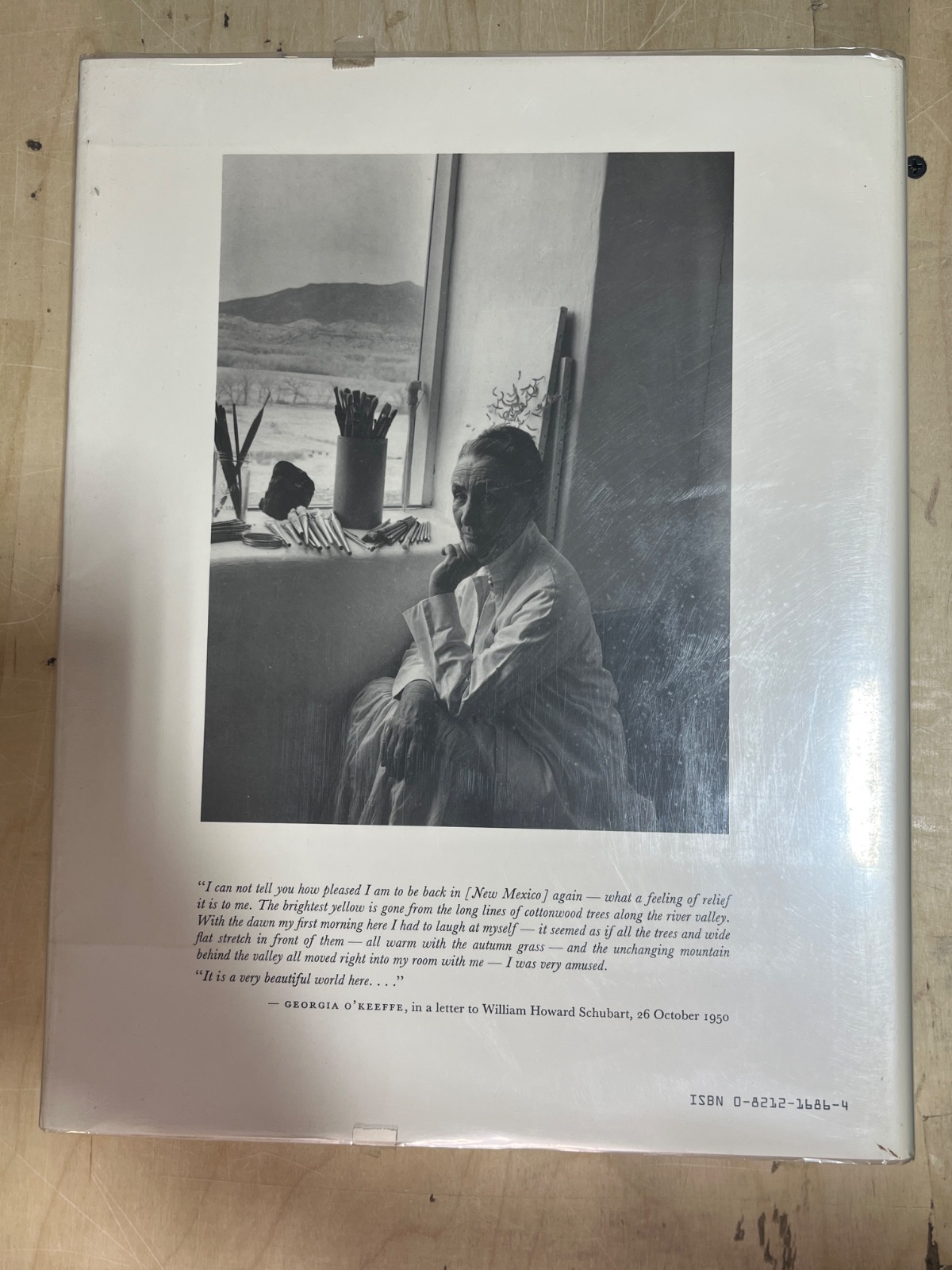 Georgia O'Keeffe: Art and Letters - Cover