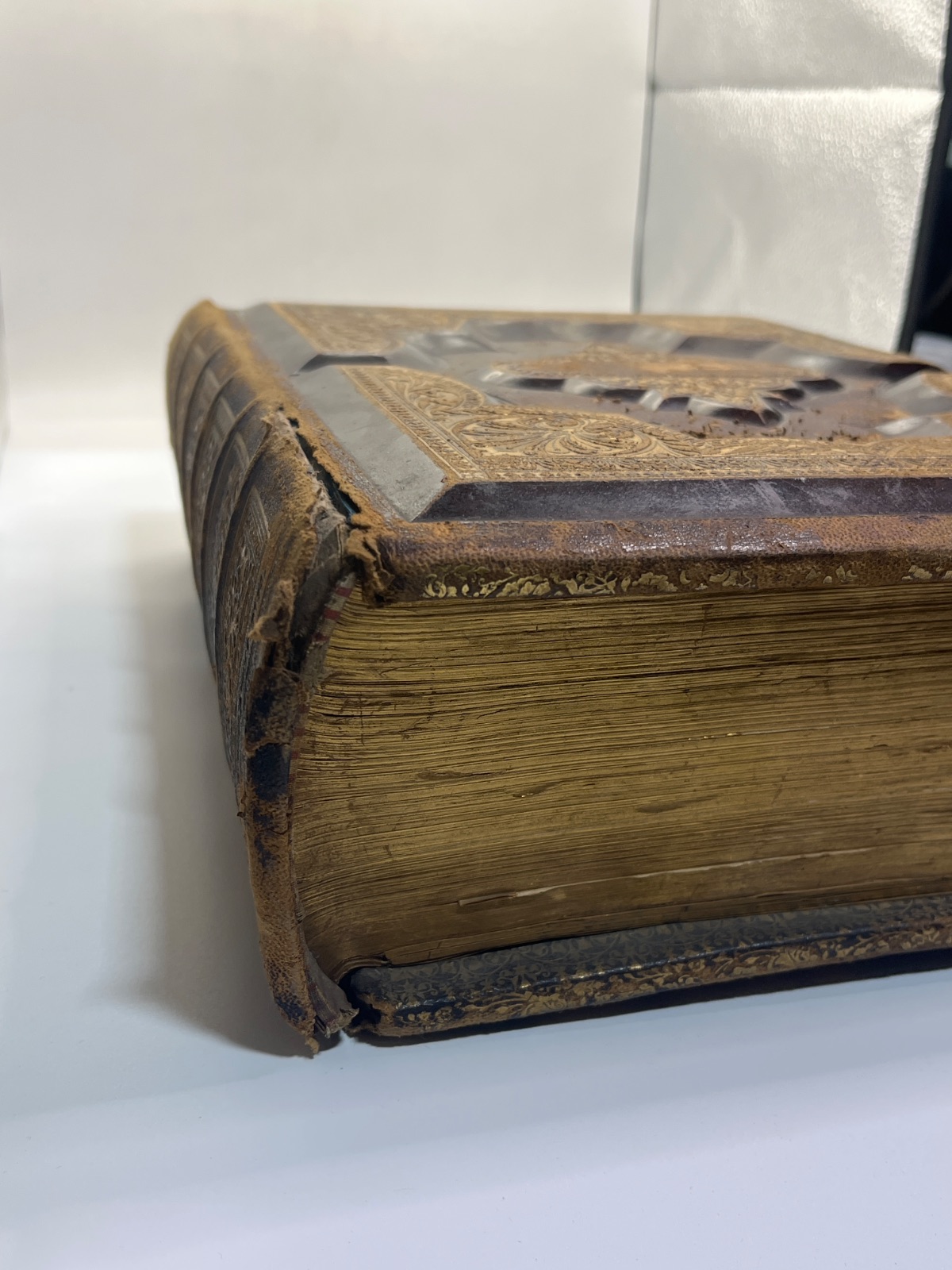 Holy Bible 1877 - Illustrated Reference Family Bible w 1400 Illustrations & Apocrypha - Image 2