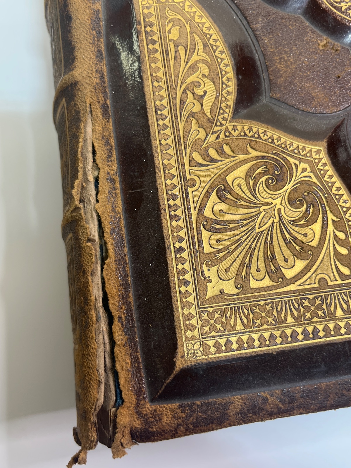 Holy Bible 1877 - Illustrated Reference Family Bible w 1400 Illustrations & Apocrypha - Image 3