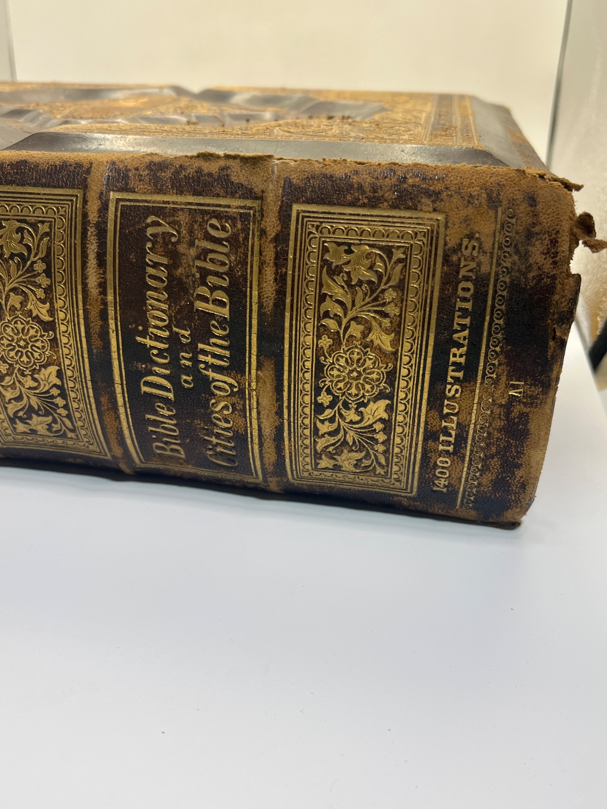 Holy Bible 1877 - Illustrated Reference Family Bible w 1400 Illustrations & Apocrypha - Image 7