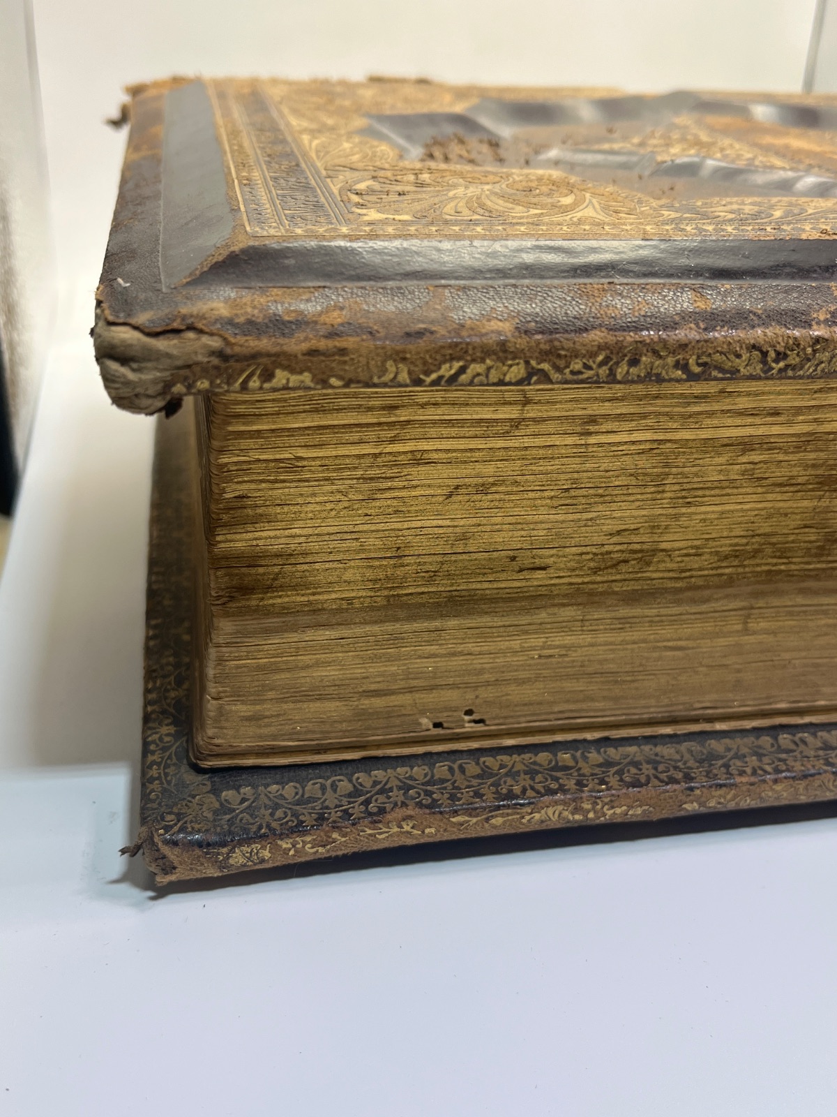 Holy Bible 1877 - Illustrated Reference Family Bible w 1400 Illustrations & Apocrypha - Image 10