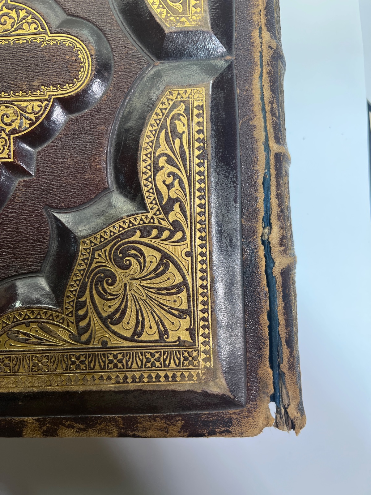 Holy Bible 1877 - Illustrated Reference Family Bible w 1400 Illustrations & Apocrypha - Image 12