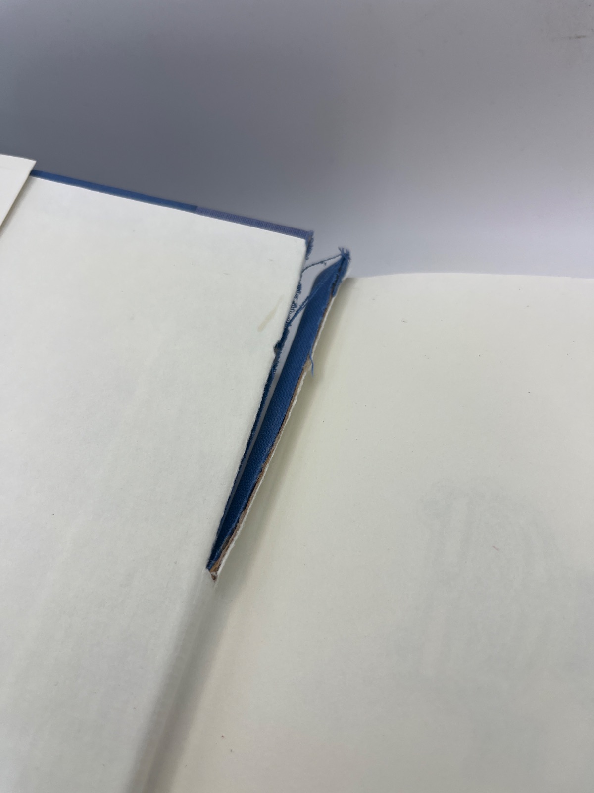 Dragonfly in Amber - First Edition, 4th Print - 1992 - Image 7