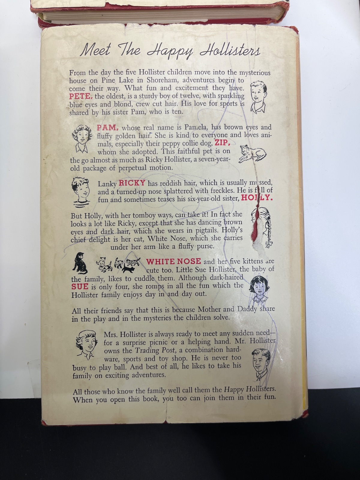 The Happy Hollisters - Mixed Lot of 4 - Image 9