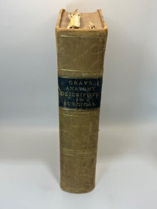 Gray's Anatomy, Descriptive and Surgical - 1883 - Antique Vintage Medical - Cover