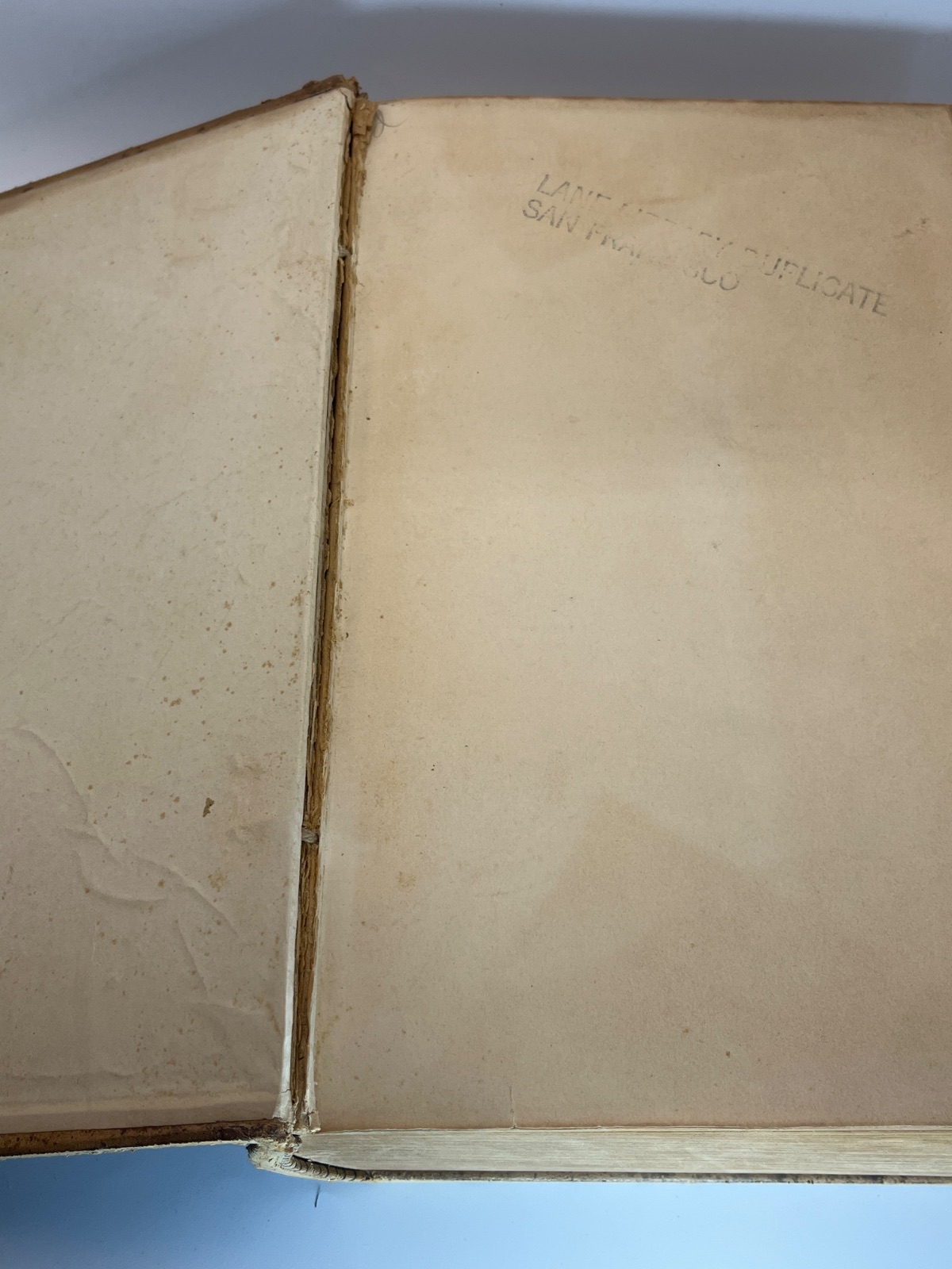 Gray's Anatomy, Descriptive and Surgical - 1883 - Antique Vintage Medical - Image 4