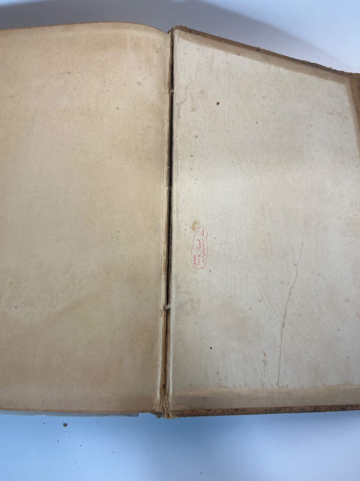 Gray's Anatomy, Descriptive and Surgical - 1883 - Antique Vintage Medical - Image 7