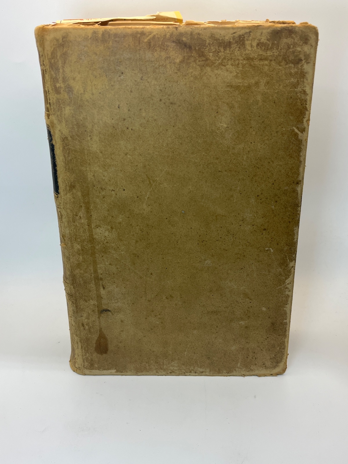 Gray's Anatomy, Descriptive and Surgical - 1883 - Antique Vintage Medical - Image 2