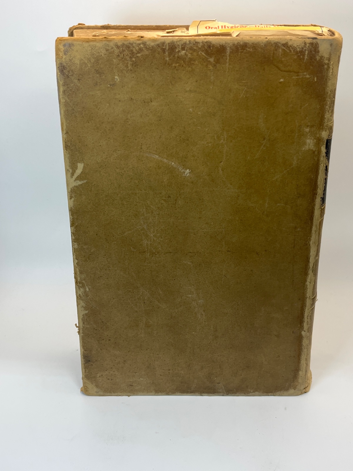 Gray's Anatomy, Descriptive and Surgical - 1883 - Antique Vintage Medical - Image 3