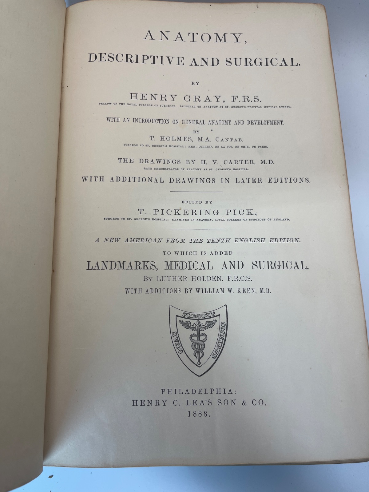Gray's Anatomy, Descriptive and Surgical - 1883 - Antique Vintage Medical - Image 8