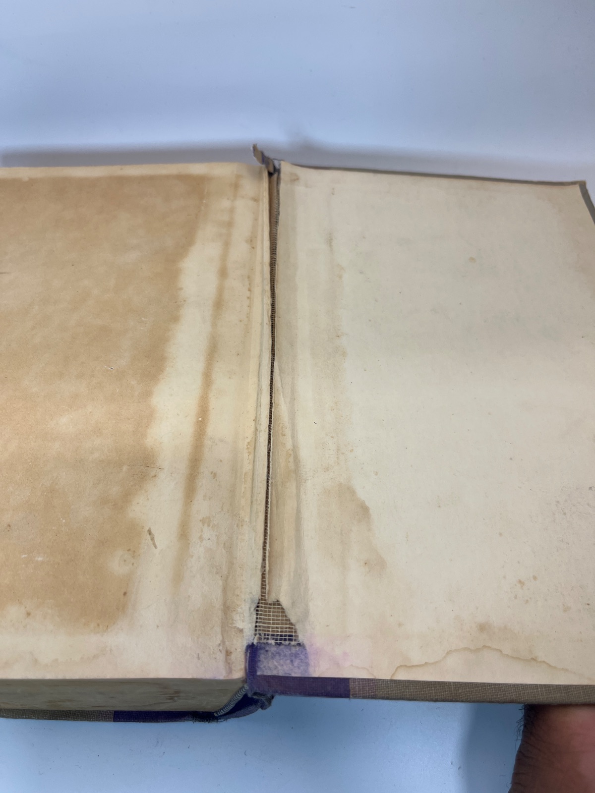 War and Peace - Image 8