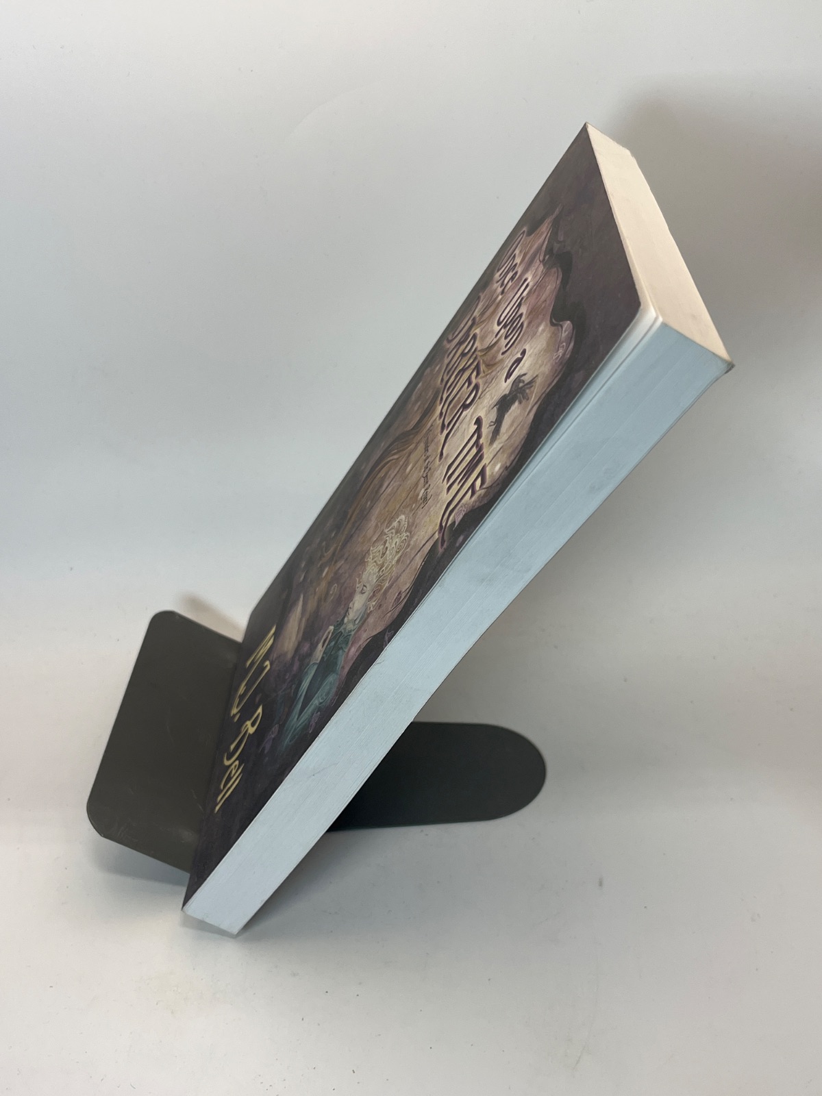 Once Upon a Darker Time - SIGNED - Image 4