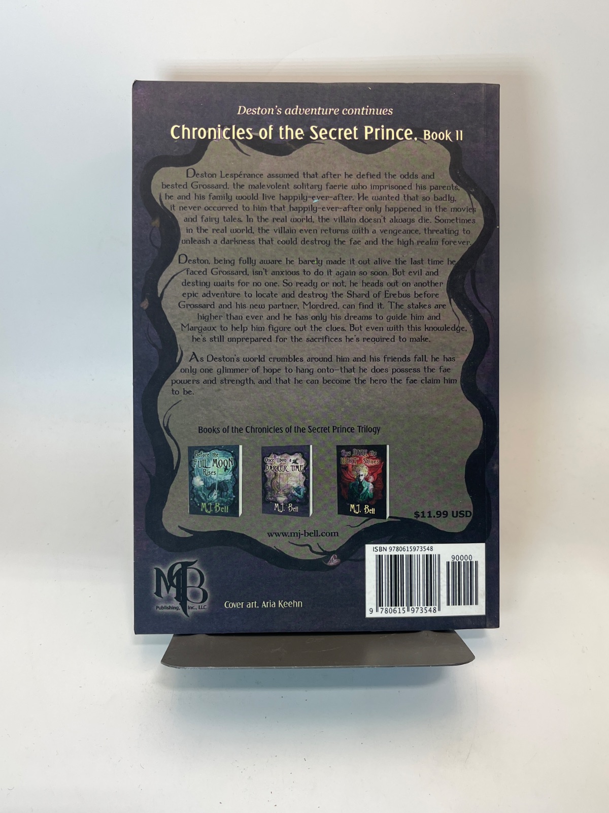 Once Upon a Darker Time - SIGNED - Image 5